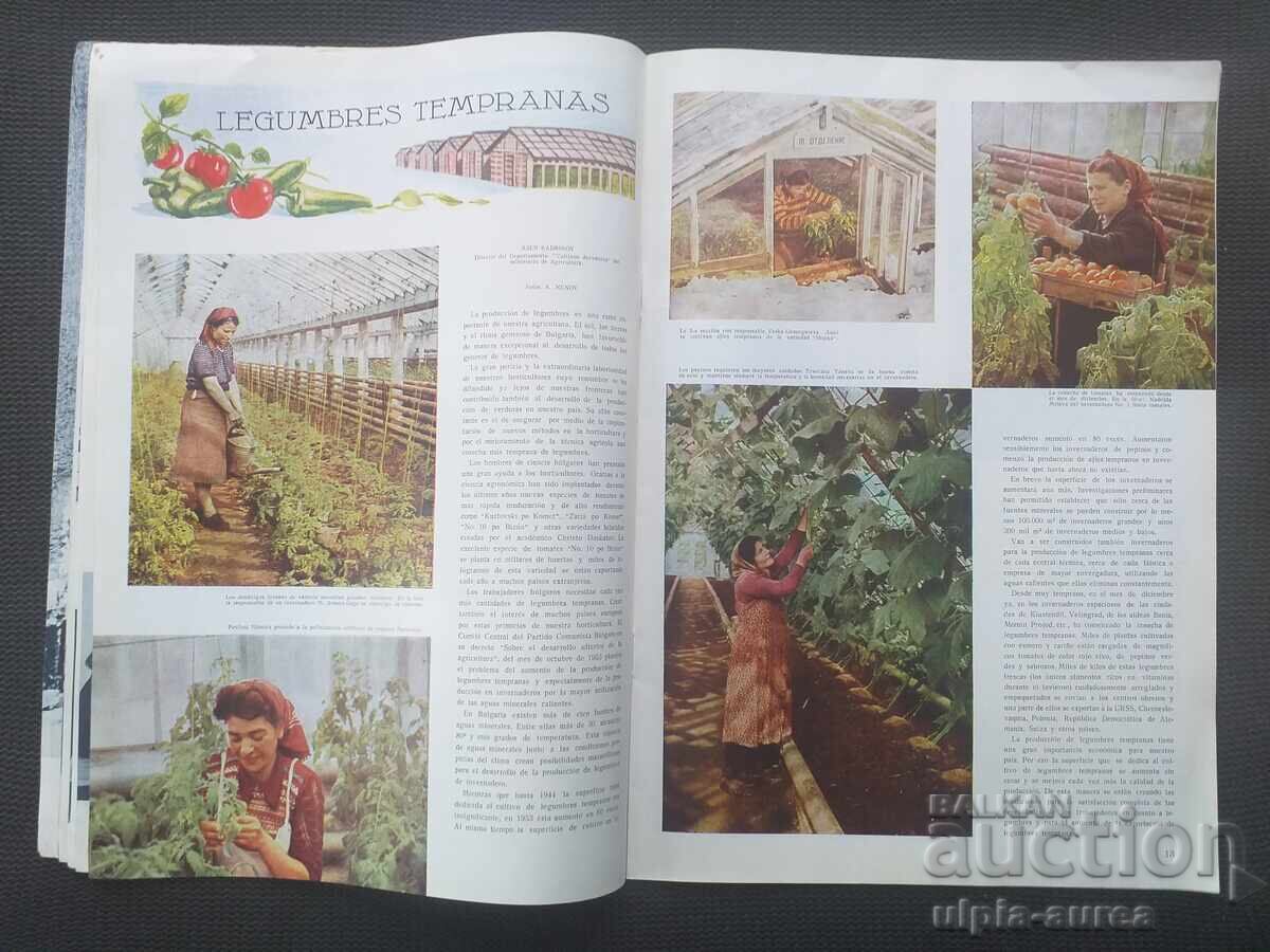 Аукцион 1954 г. BULGARIA  Рекламно