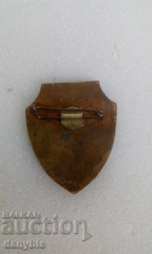 Insigna - Trooper - email cu preț 3.00 BGN | € 1.53