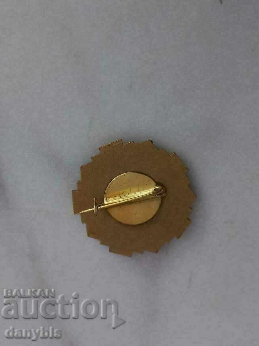 Значка - Почетен кръводарител БЧК с цена 15.00 лв. | € 7.67