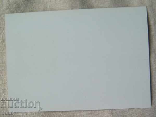 Carte poștală 1999 - Ziua Mediului cu preț 1.00 BGN | € 0.51 Carte poștală 1999 - Ziua Mediului cu preț 1.00 BGN | € 0.51