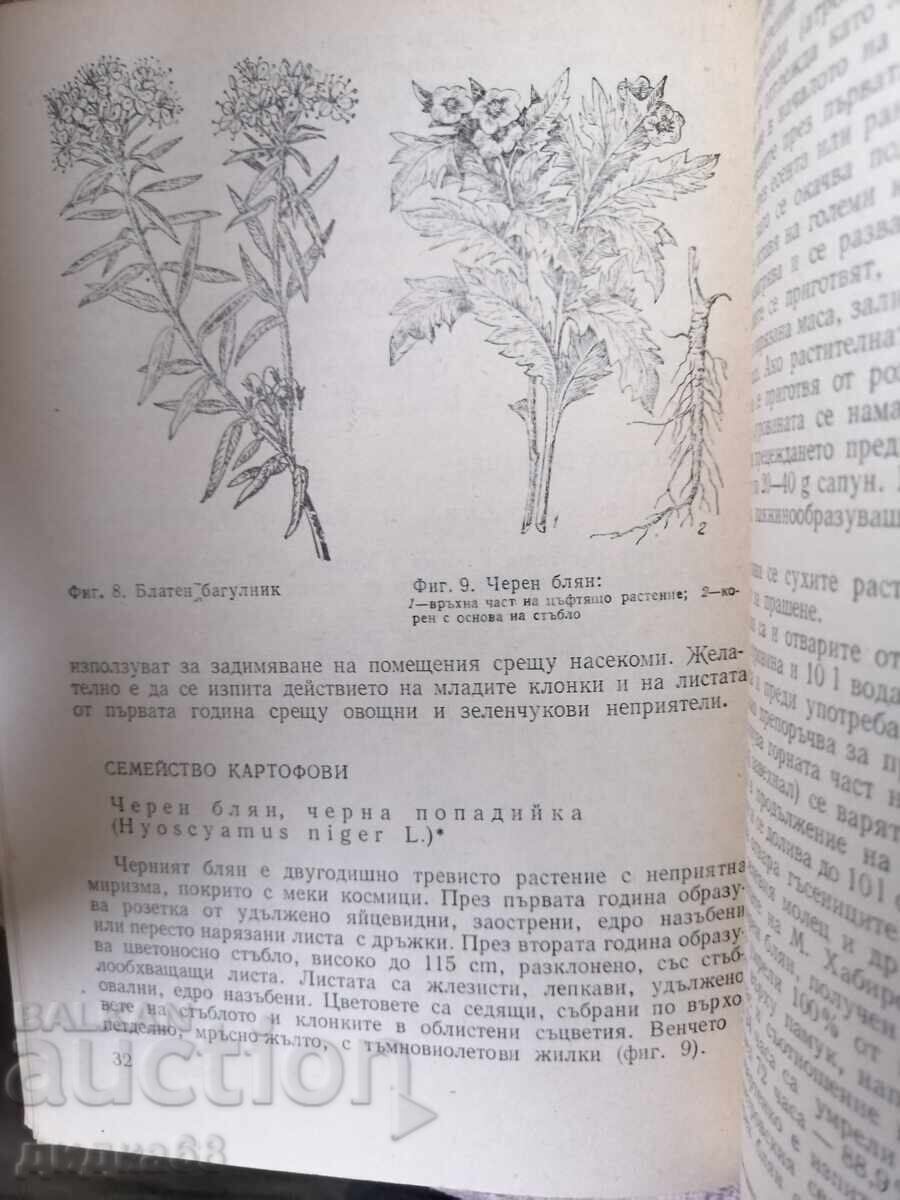 Растения защитават растения / А. Н. Васина - 5 Растения защитават растения / А. Н. Васина - 5