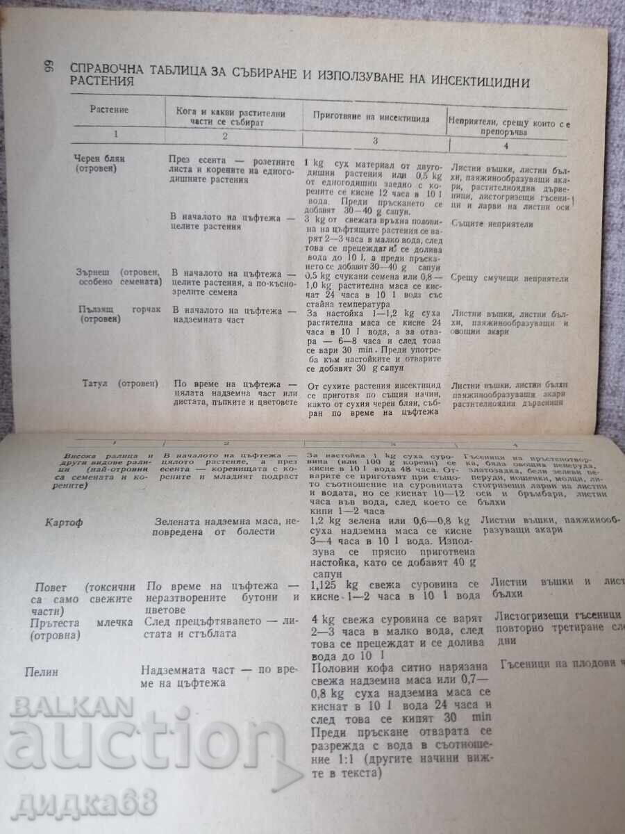 Растения защитават растения / А. Н. Васина - 7 Растения защитават растения / А. Н. Васина - 7