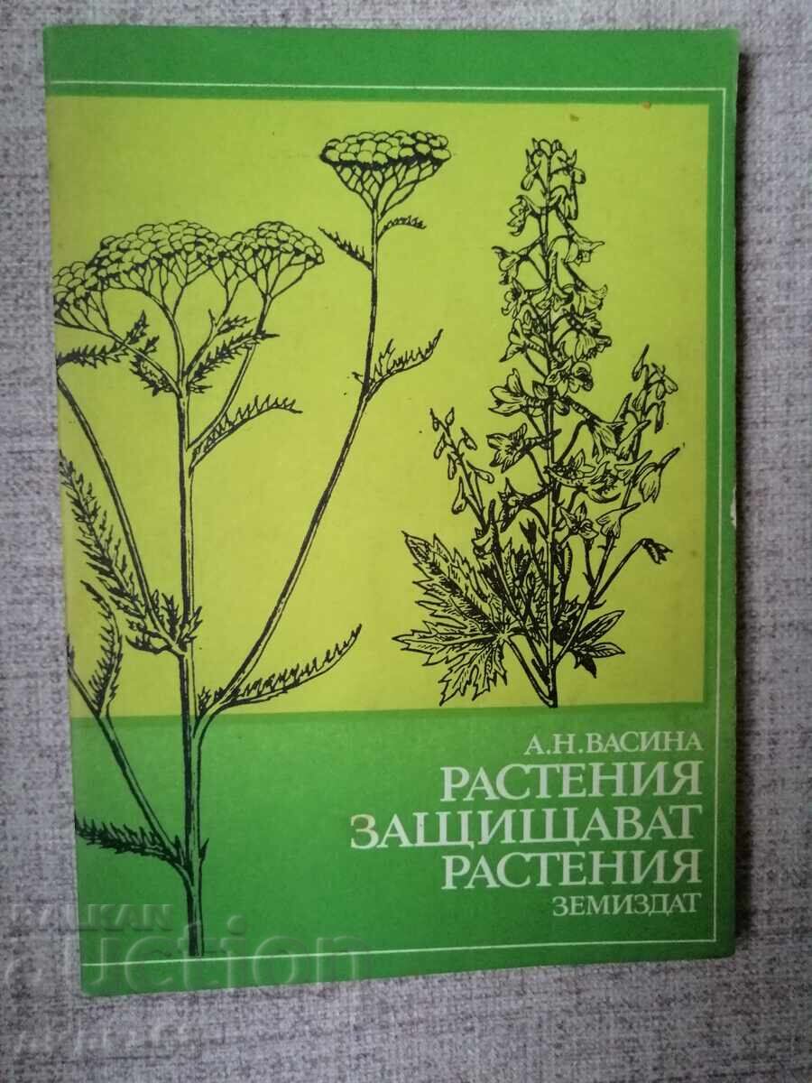 Растения защитават растения / А. Н. Васина Растения защитават растения / А. Н. Васина