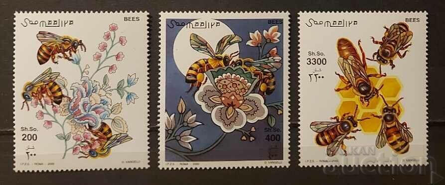 Somalia 2000 Fauna/Insects/Bees 11.75 € MNH