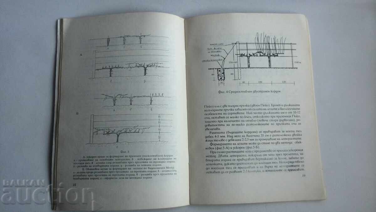 Παράδοση Λοζέτο Τεχνολογικό έργο για δημιουργία, καλλιέργεια και εξοπλισμό