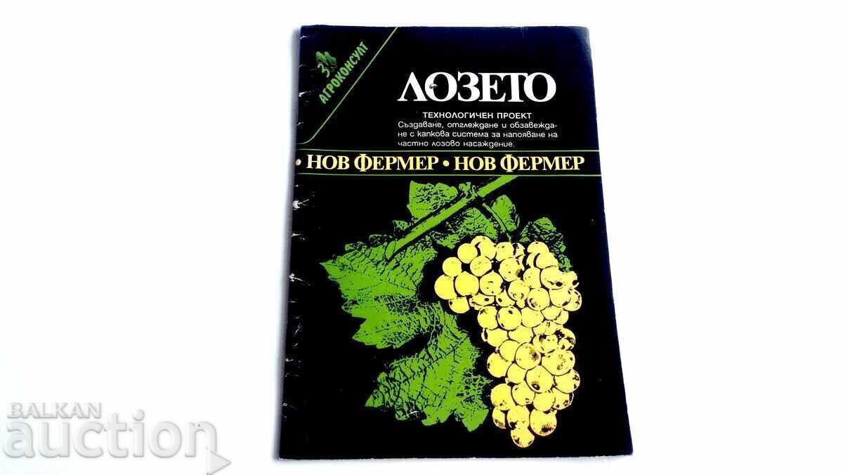 Vineyard Technological Project for Creation, Cultivation and Furnishing