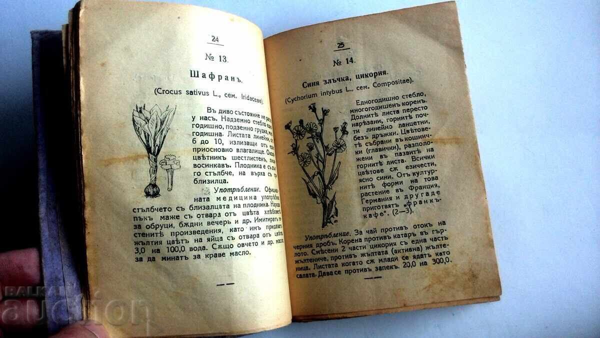 Auction  One Hundred (100) Medicinal Herbs Used in Folk Medicine
