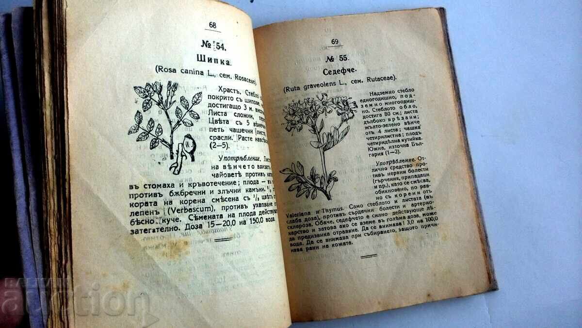 Delivery of One Hundred (100) Medicinal Herbs Used in Folk Medicine