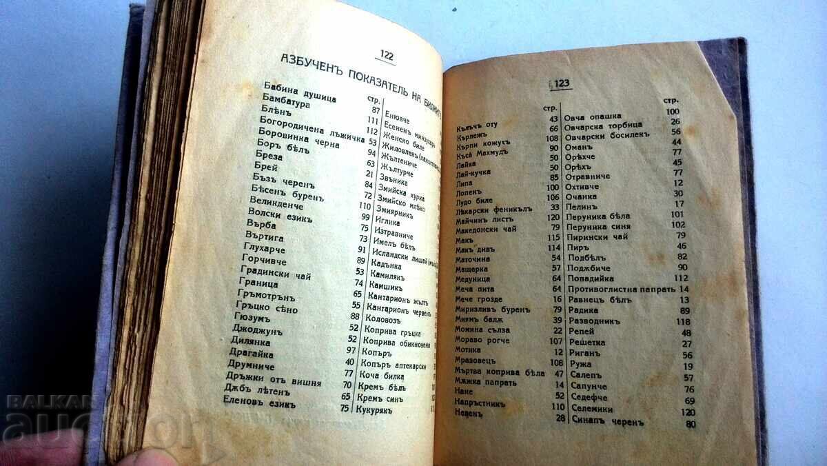 One Hundred (100) Medicinal Herbs Used in Folk Medicine - 6