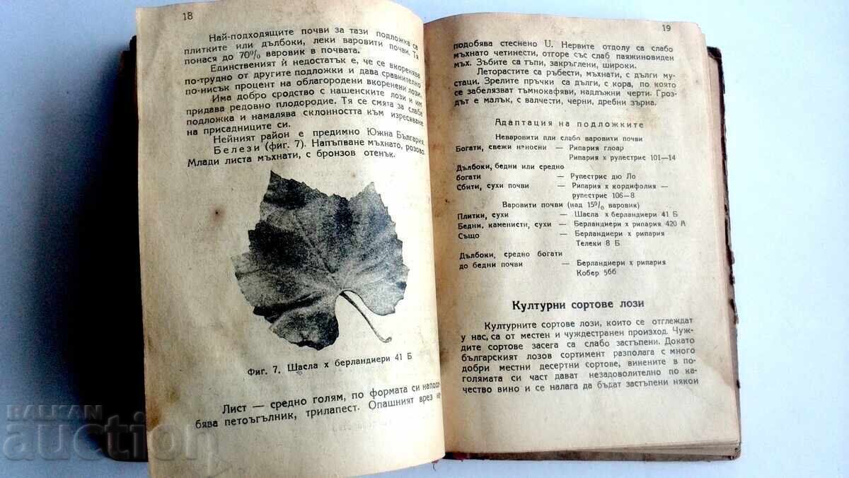 Δημοπρασία Εγχειρίδιο Αμπελουργίας 1949, Ν. Νεντέλτσεφ, Σ. Ραντούτσεφ