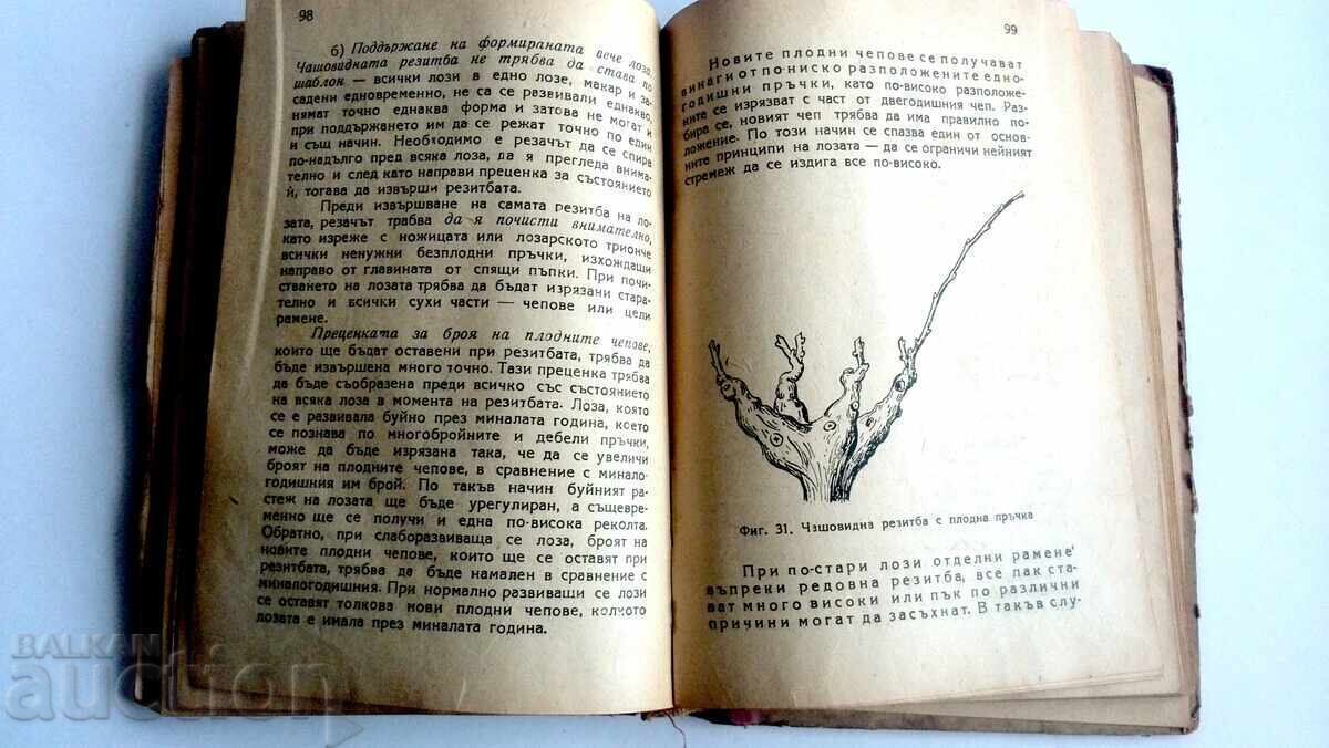 Livrarea Ghid de viticultură 1949, N. Nedelcev, S. Raducev Livrarea Ghid de viticultură 1949, N. Nedelcev, S. Raducev