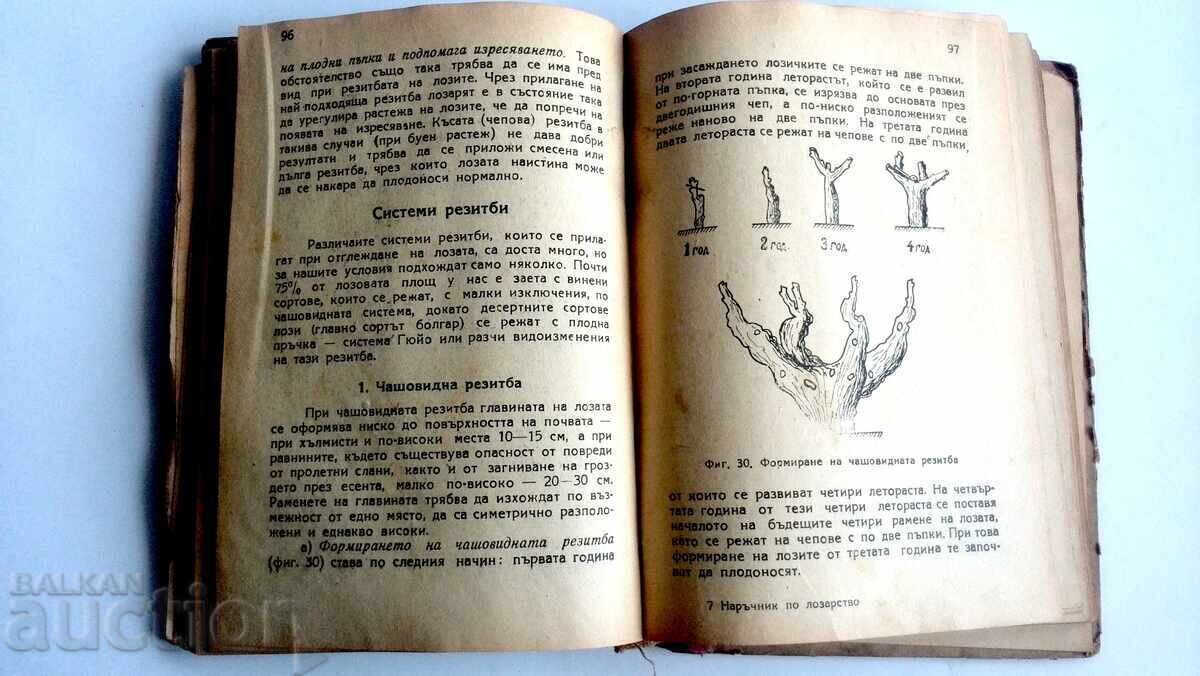 Ghid de viticultură 1949, N. Nedelcev, S. Raducev - 5 Ghid de viticultură 1949, N. Nedelcev, S. Raducev - 5