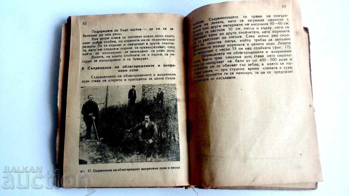 Εγχειρίδιο Αμπελουργίας 1949, Ν. Νεντέλτσεφ, Σ. Ραντούτσεφ - 6
