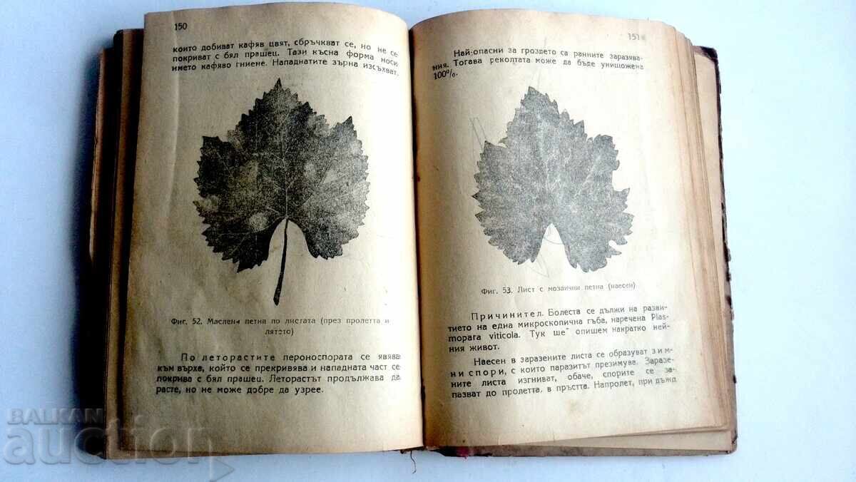 Εγχειρίδιο Αμπελουργίας 1949, Ν. Νεντέλτσεφ, Σ. Ραντούτσεφ - 7