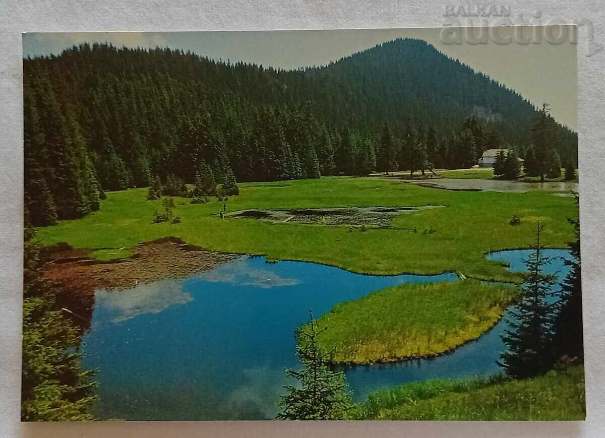 SMOLYAN LAKES P.C. 1988 SMOLYAN LAKES P.C. 1988
