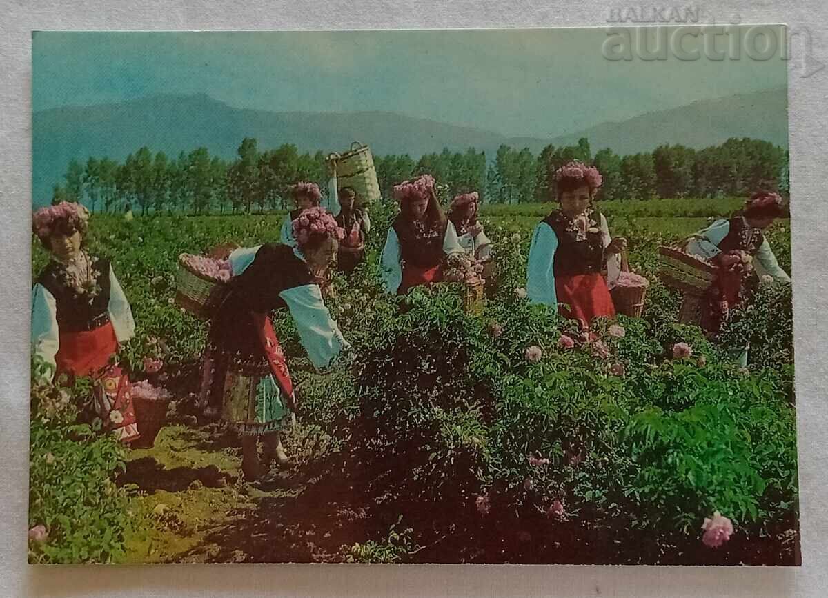 ΚΑΖΑΝΛΑΚ ΡΟΖΟΜΠΕΡ Π.Κ. 1979 g