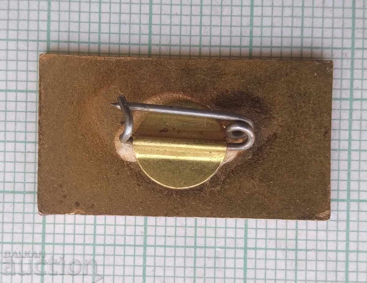 Δημοπρασία 19085 Σήμα - 25 χρόνια Υπουργείο Εσωτερικών - μπρούντζινος σμάλτο