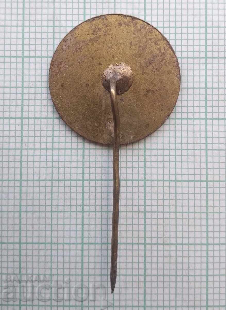 Licitație 19093 Insigna - 30 de ani de la înființarea Ministerului Afacerilor Interne (MAI)