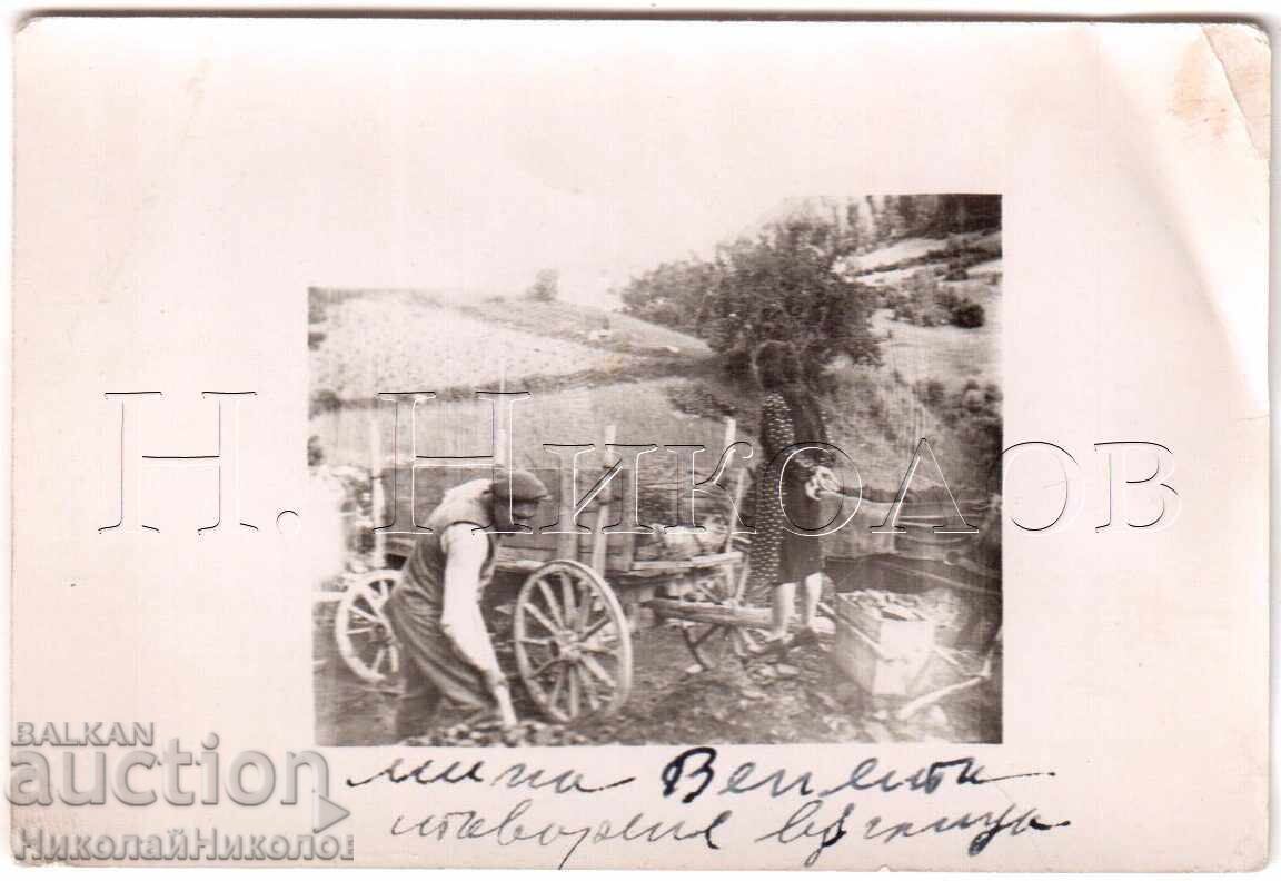 ΜΙΚΡΗ ΠΑΛΙΑ ΦΩΤΟΓΡΑΦΙΑ ΠΑΣΜΑΚΛΙ ΣΜΟΛΙΑΝ ΜΙΝΑ ΒΕΝΕΤΑ ΑΝΘΡΑΚΑΣ Δ925