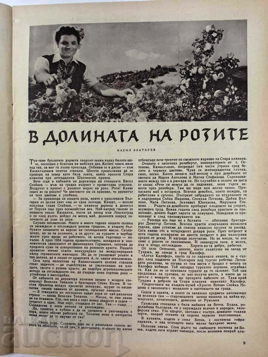 THE WOMAN TODAY INTERESTING SOCIAL MAGAZINE NEWSPAPER NRB SOCA - 5