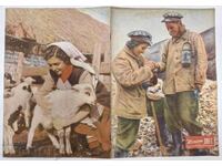 THE WOMAN TODAY INTERESTING SOCIAL MAGAZINE NEWSPAPER NRB SOCA