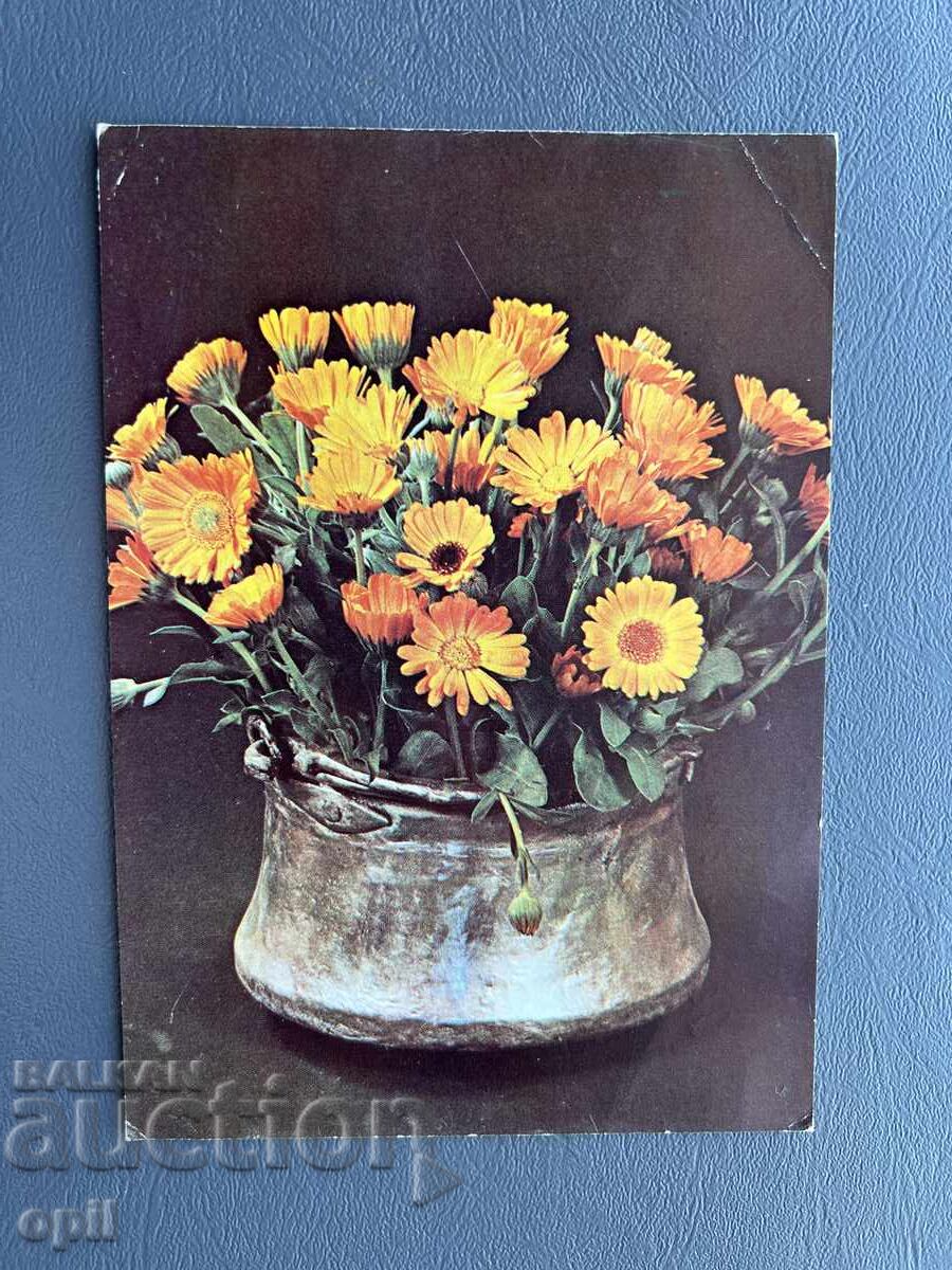 Carte Poștală Veche Felicitare - Bulgaria 1981