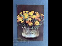 Стара Картичка Поздравителна - България 1981