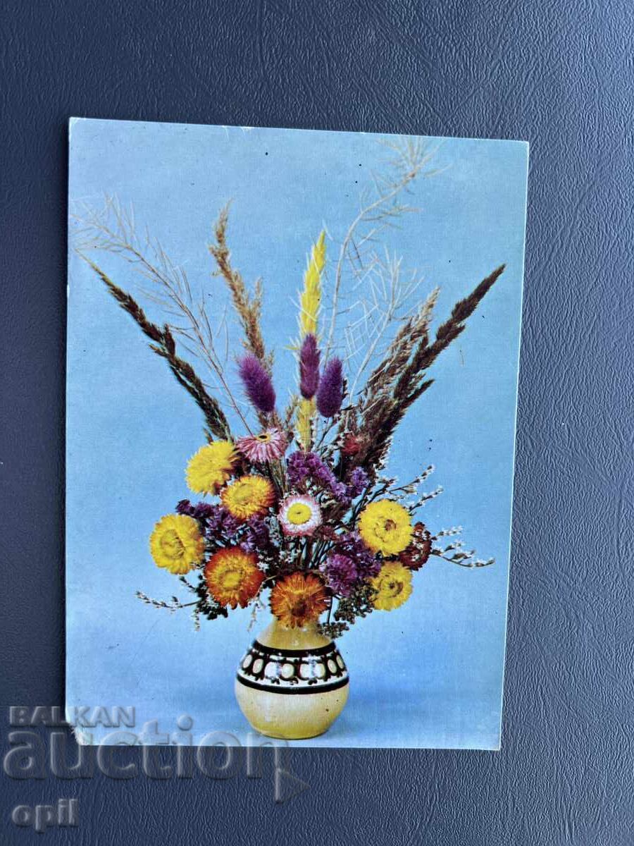 Old Postcard - Greeting Card - Bulgaria