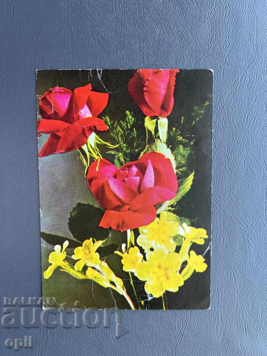 Carte poștală veche de felicitare - Irak 1979