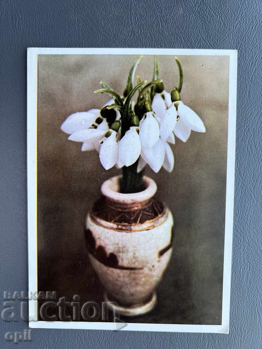 Old Postcard - Greeting Card - Bulgaria Old Postcard - Greeting Card - Bulgaria