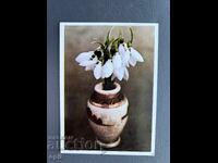 Old Postcard - Greeting Card - Bulgaria