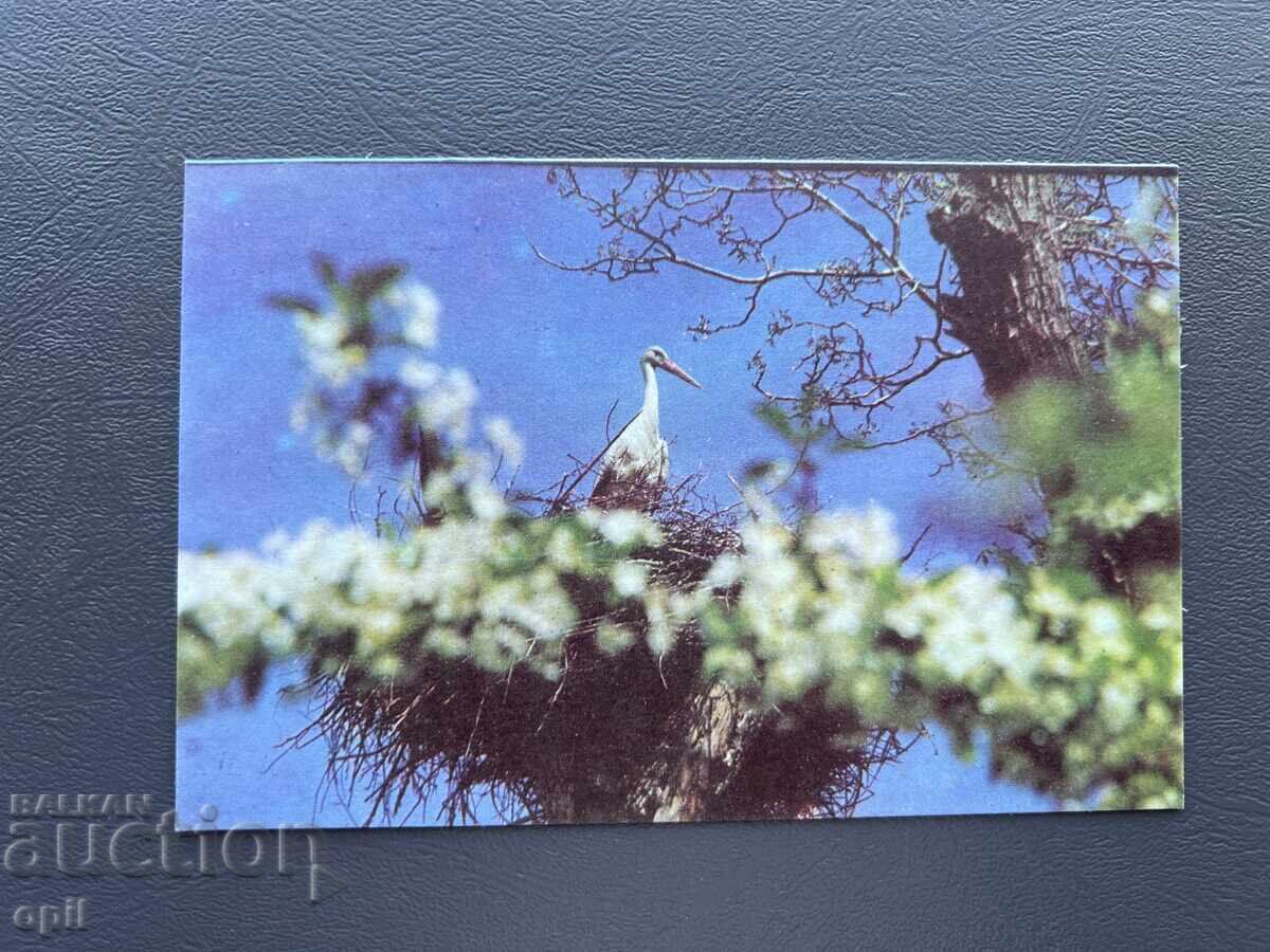 Παλιά Ευχετήρια Κάρτα - Βουλγαρία 1978