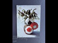 Old Postcard - Greeting Card - Bulgaria