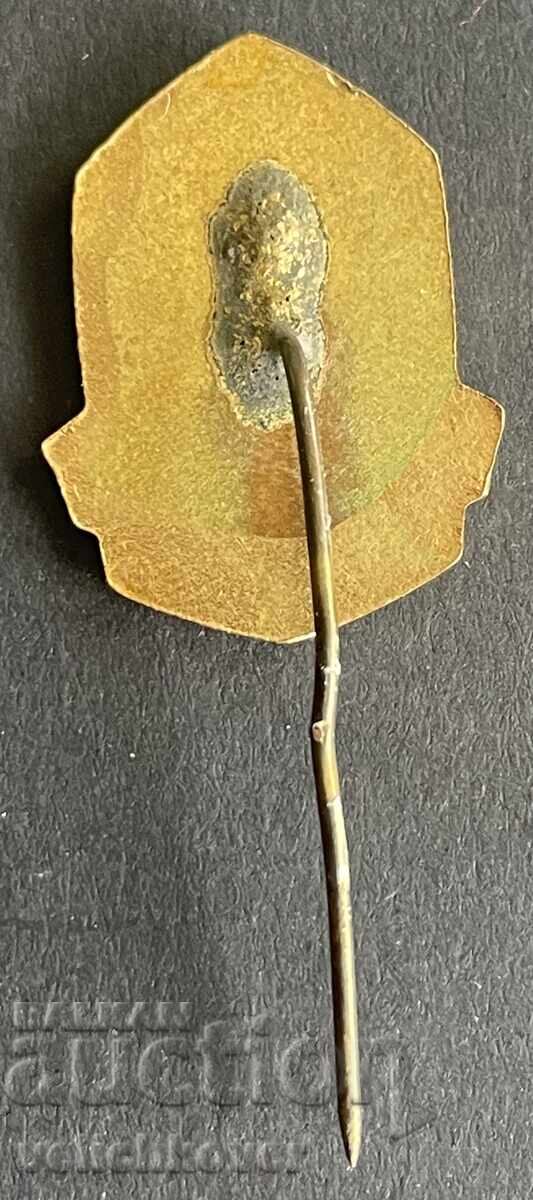 40991 Βουλγαρία σήμα ΤΕC Πρώτη Κομσομόλσκα εμαγιέ με τιμή 5.00 BGN | € 2.56