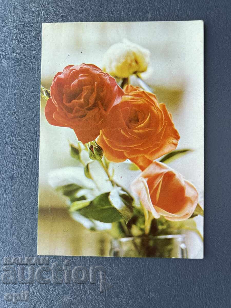 Old Postcard - Greeting Card - Bulgaria 1984