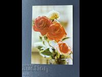 Παλιά Ευχετήρια Κάρτα - Βουλγαρία 1984