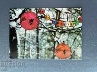 Παλιά Ευχετήρια Κάρτα - Βουλγαρία 1974