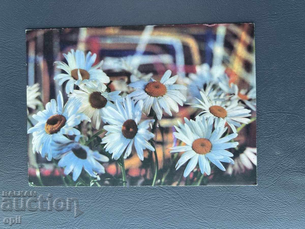 Old Postcard - Greeting Card - Bulgaria