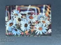 Old Postcard - Greeting Card - Bulgaria