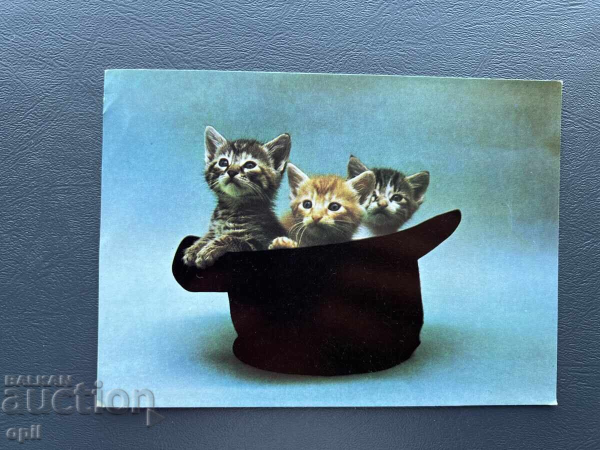 Old Postcard - Greeting Card - Bulgaria