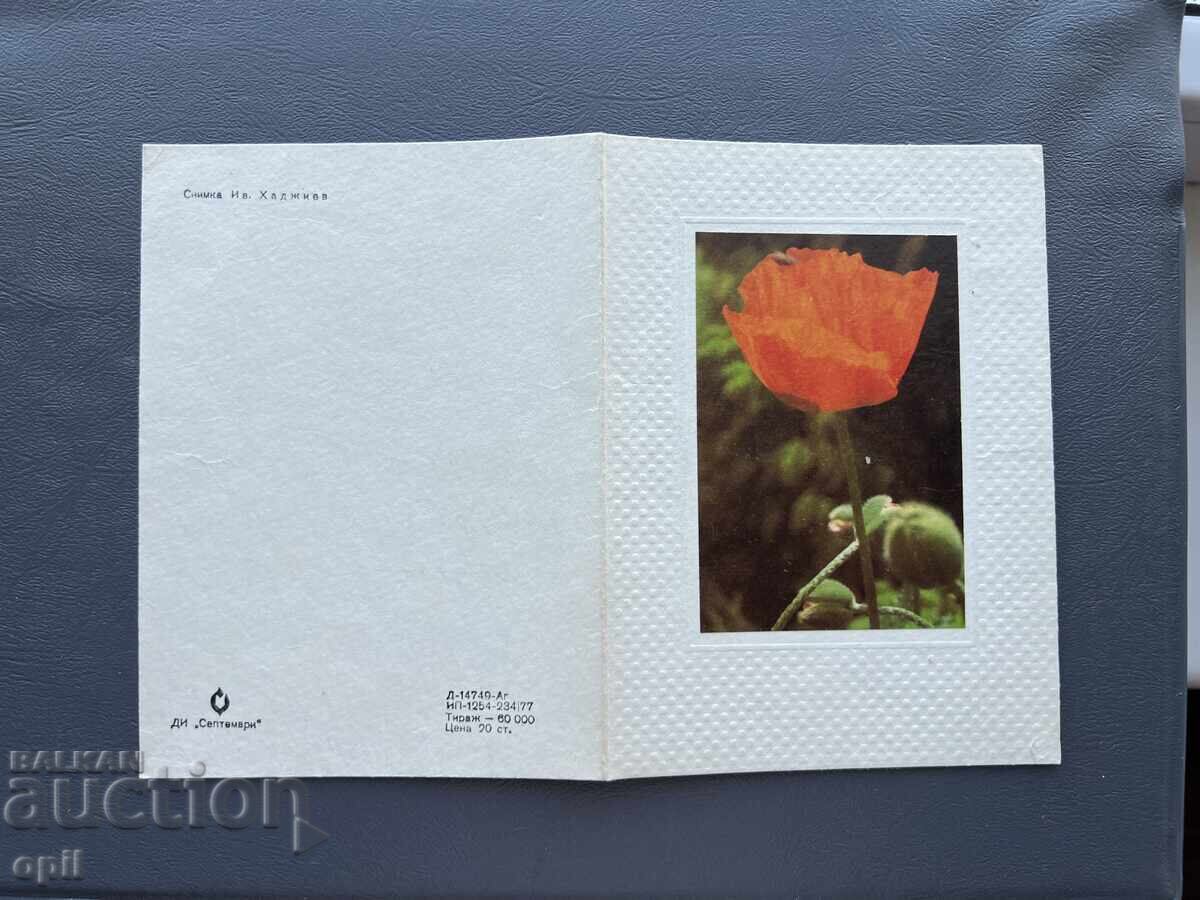 Old Postcard - Greeting Card - Bulgaria