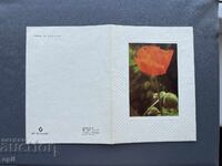 Old Postcard - Greeting Card - Bulgaria