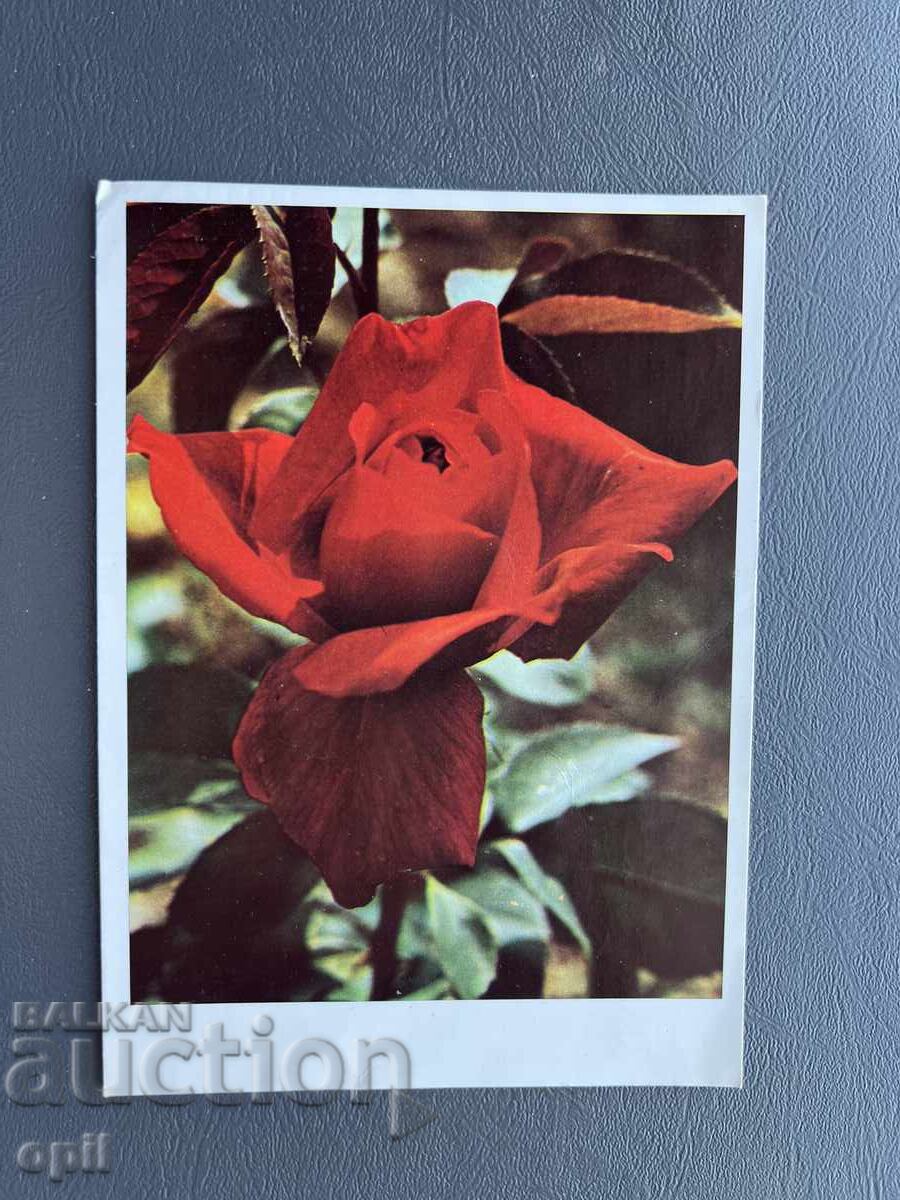 Παλιά Ευχετήρια Κάρτα - Βουλγαρία Παλιά Ευχετήρια Κάρτα - Βουλγαρία