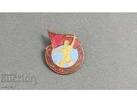 Insigna socială emailată Pentru muncă îndelungată și conștiincioasă