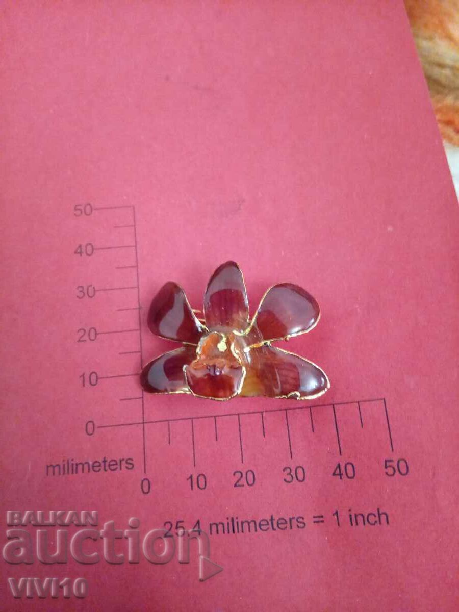 Antique enamel brooch, Gold plated