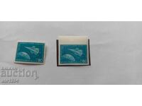 Международна геофизична година