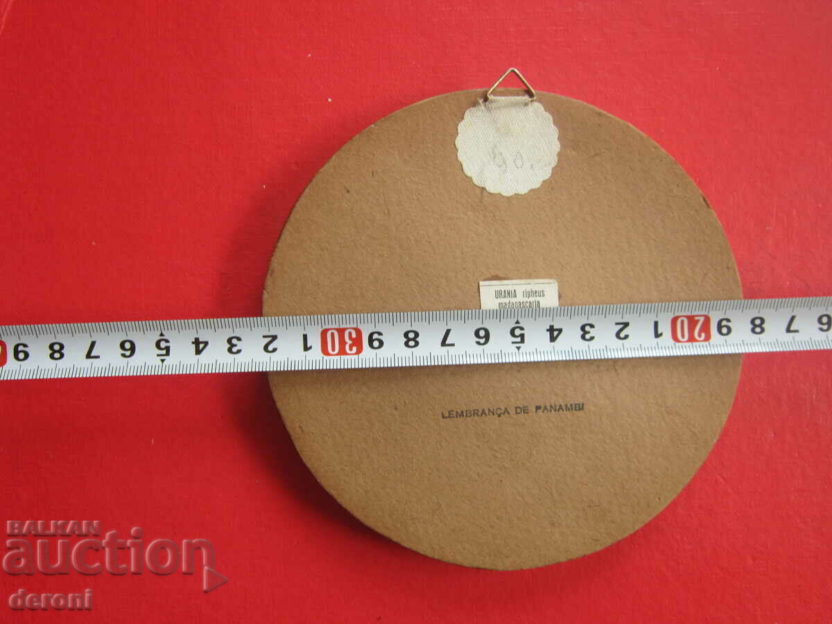 Delivery of Brazilian Art Painting Butterfly 3