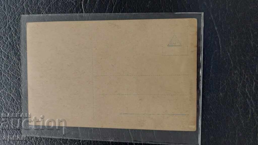 Delivery of Bulgaria Kingdom Postcard WWI Delivery of Bulgaria Kingdom Postcard WWI