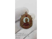 Rusă - URSS - insignă Școala Navală Nahimov