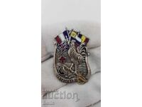 Σπάνιο πατριωτικό γαλλικό σήμα, κονκάρδα 1914 - 1915